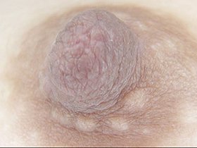 300人の乳首 3　サンプル画像04